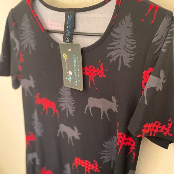 Charlie’s Project Dresses & Skirts - **NWT** size XS Charlie’s Project Charley dress